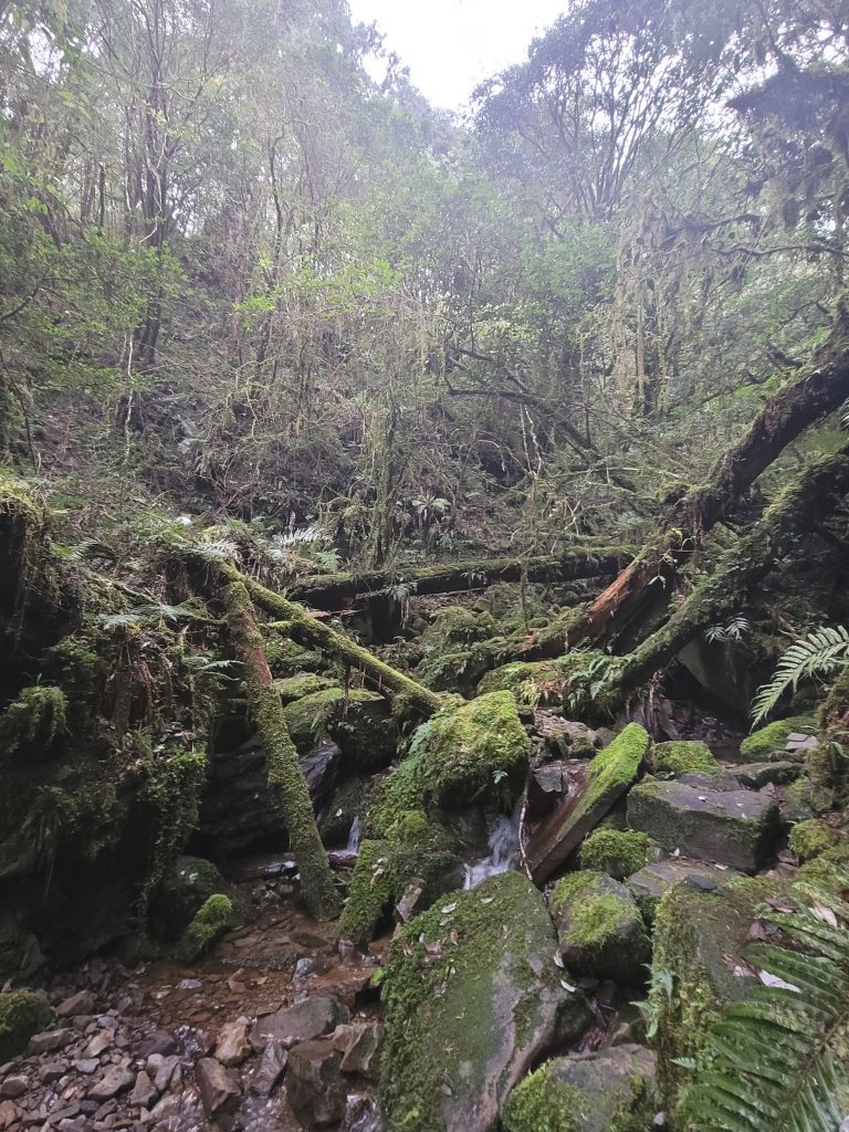 福巴越嶺國家步道_2364577