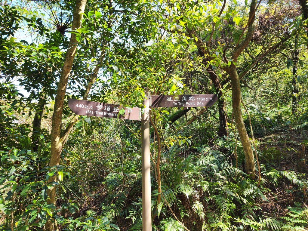 20250322-姜子寮山_2739983