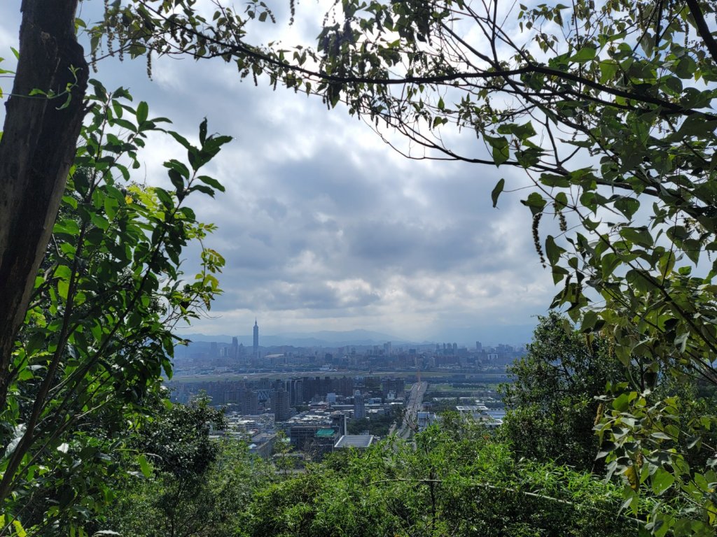 雞南山封面圖