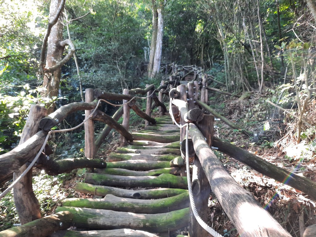 一日大坑_1030021