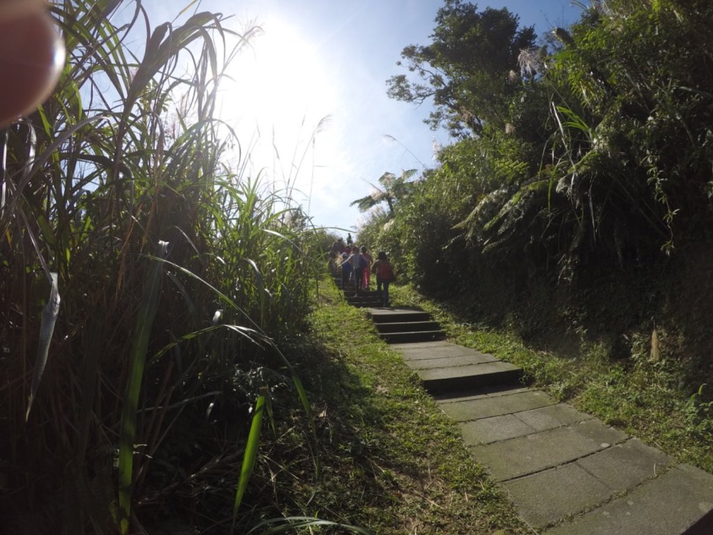 2019.11.10-五分山步道_2013669