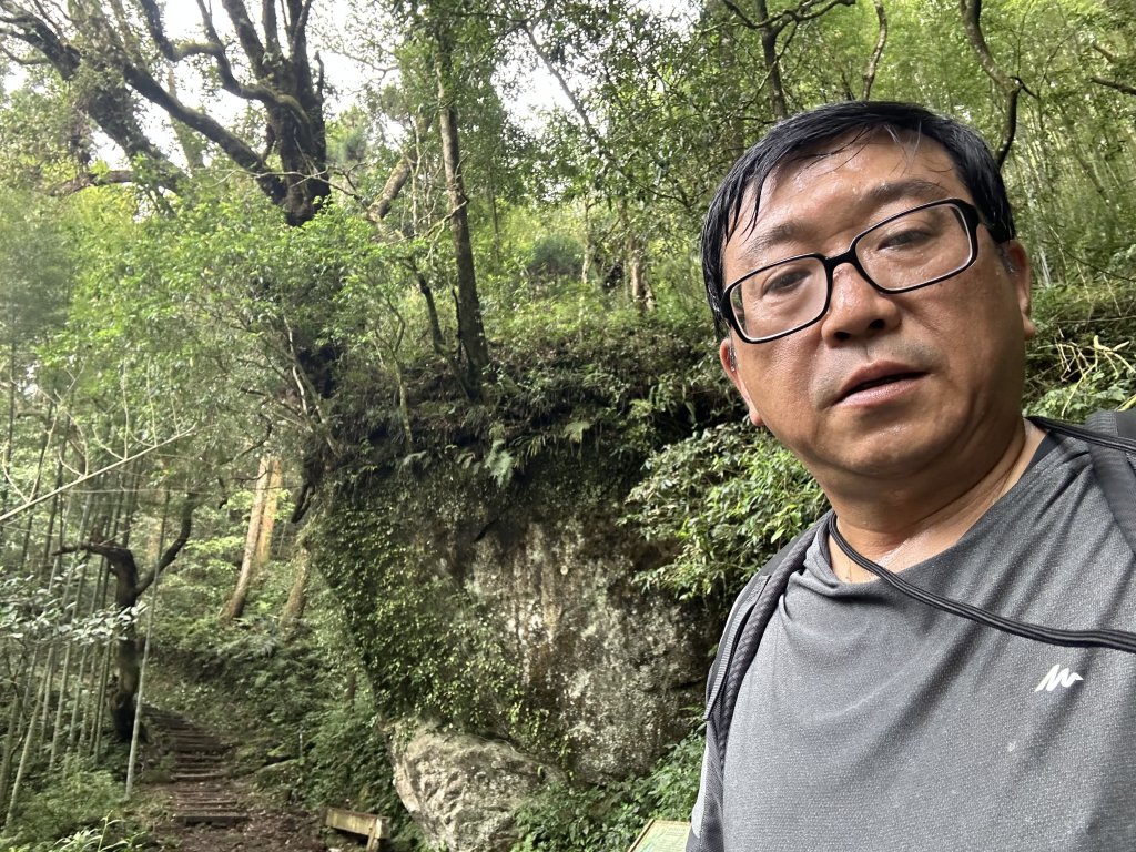 奮起湖大凍山_2598167