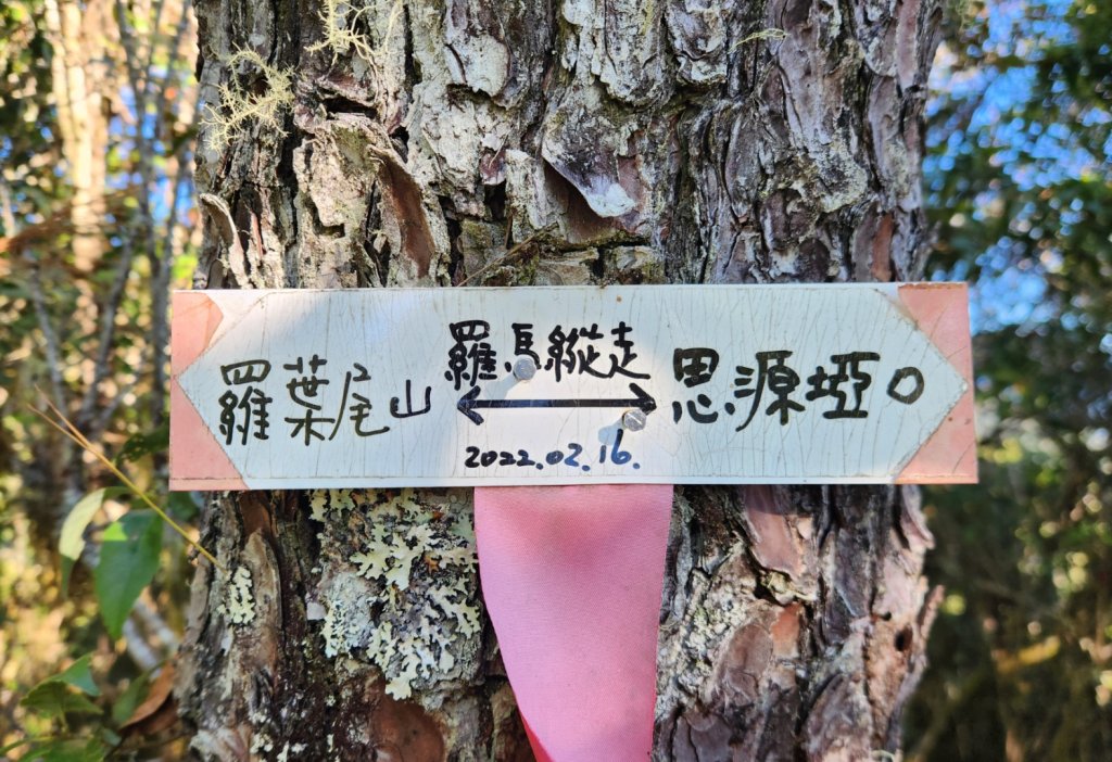 【中級山縱走】羅馬縱走，走進神木的夢幻童話森林世界_2943178