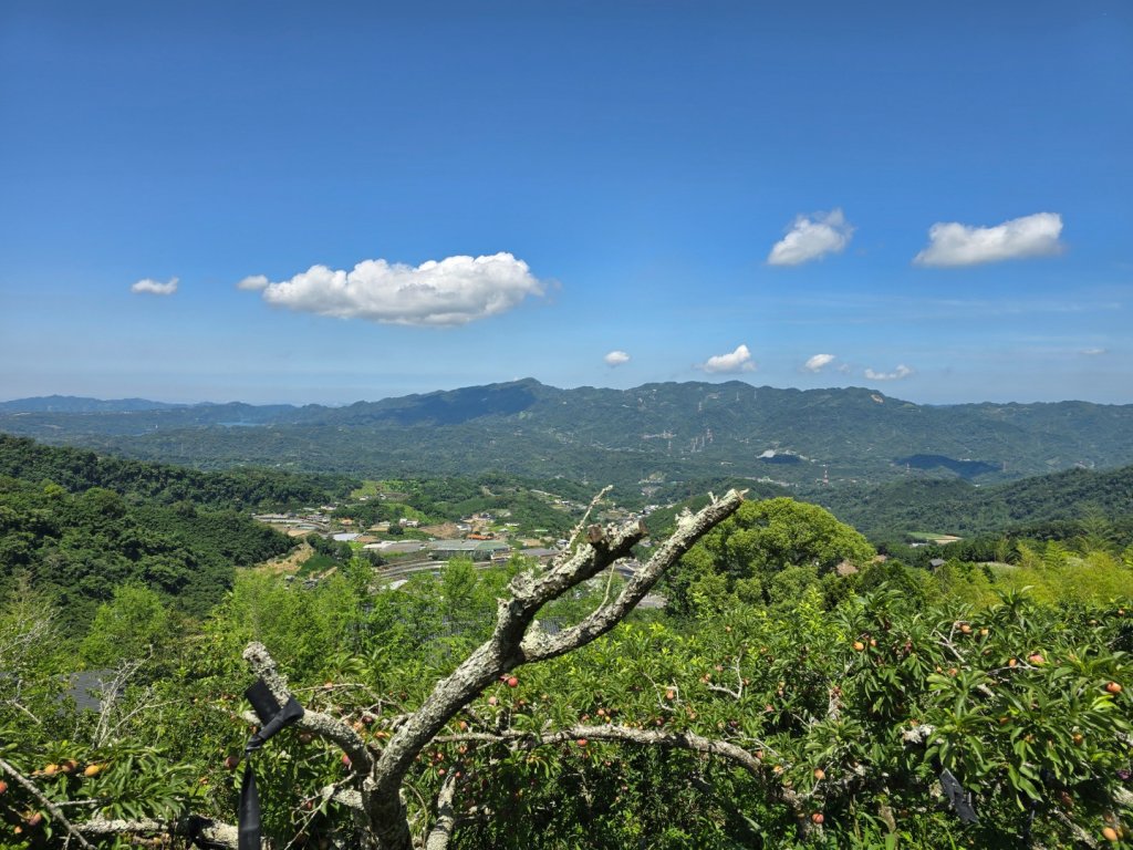 夏日的馬那邦山_2786835
