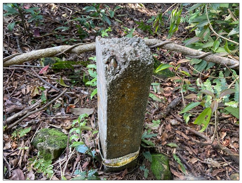 草嶺山、白石山、頭寮山 六連峰 O型路線_2798687