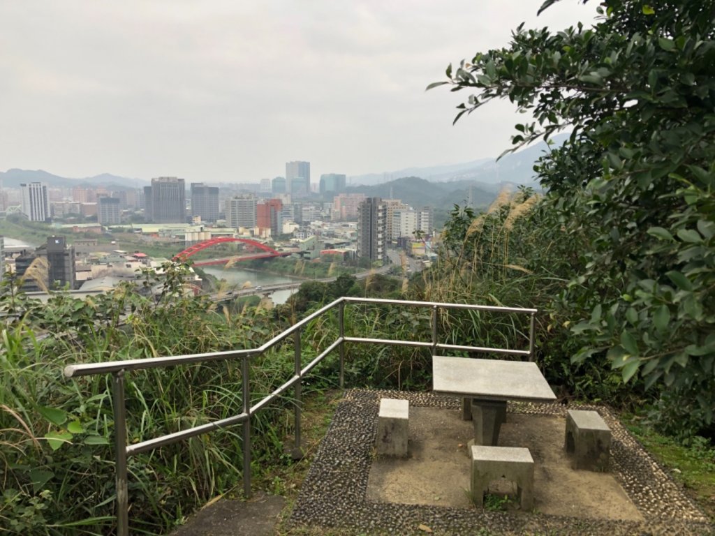 新北市汐止區小南港山3-828賞山櫻花_2010174