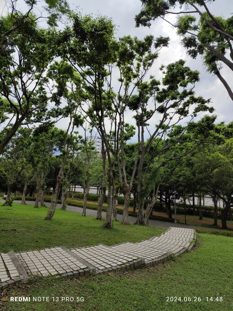 大安森林公園【走路趣尋寶】【臺北健走趣】_2536240