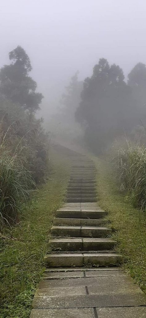 雲霧中的寧靜封面圖