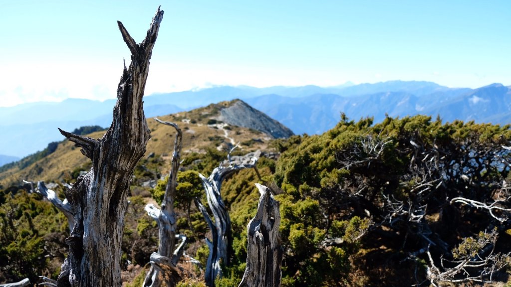 嘉明湖 好天氣 漫慢走_875091