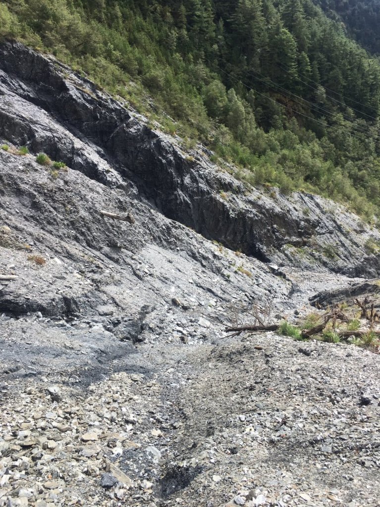 猴子就是愛爬山(奇萊南華)#5.6_567402