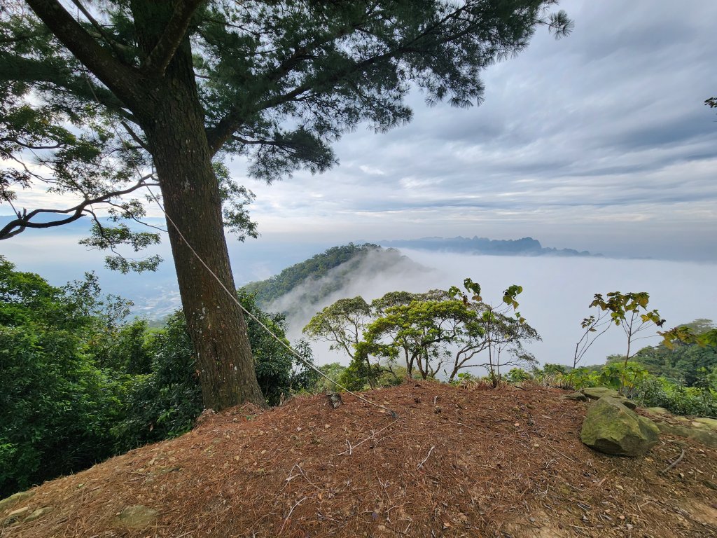 20241222二載山與大橫屏山南峰(追加鹽菜甕山、鹽菜甕下山)_2721507