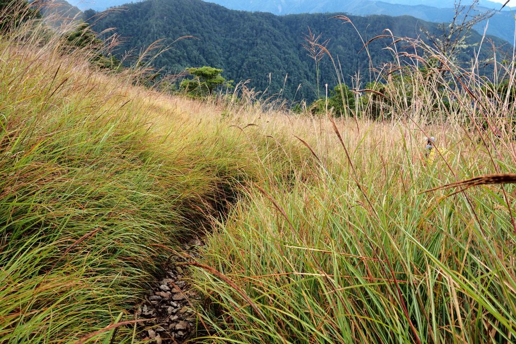 桃山獨走初秋_175106
