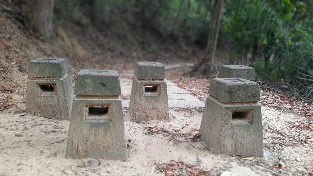 《苗栗》楓香林道｜頭份老崎古道（後花園步道）20250329_2748882