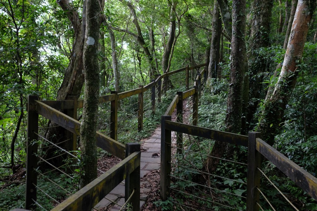 桃園復興區  東卡O縱_2823807