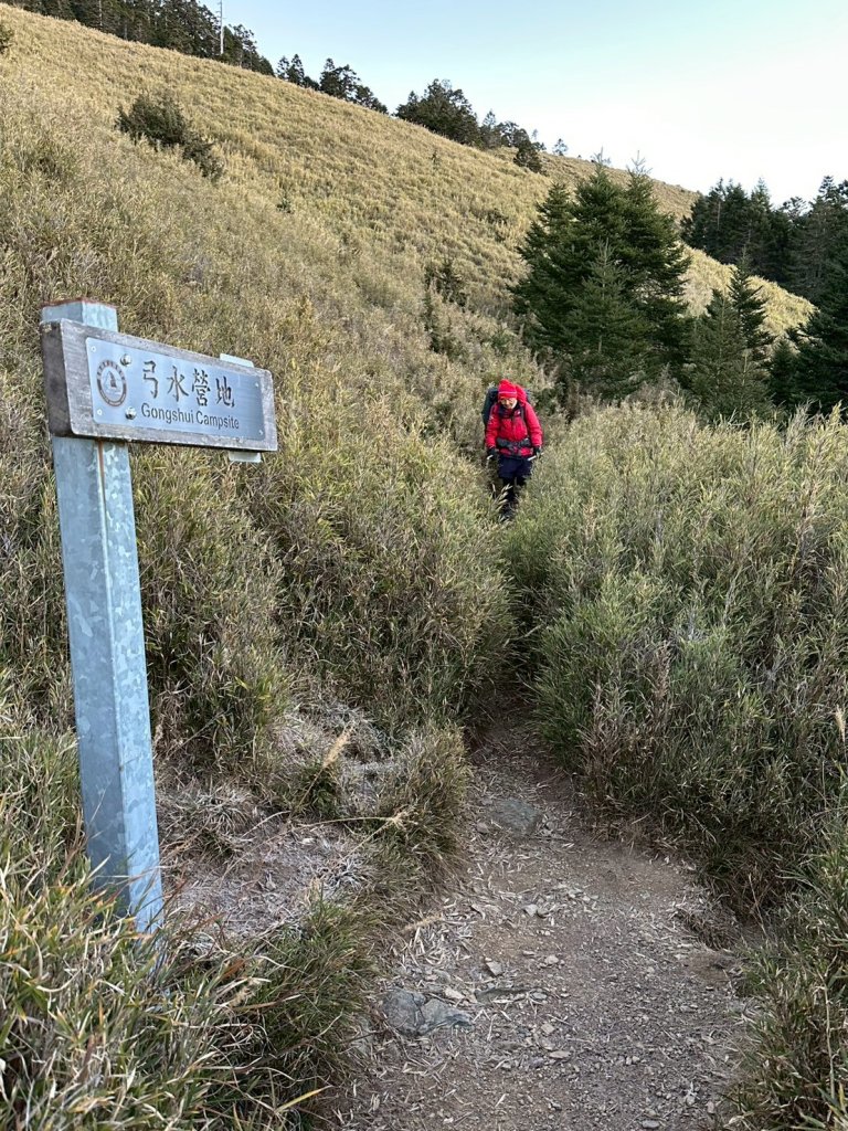 帶著77歲爸爸爬百岳~雪山西稜_12/07~12/12，2025唯一一爬。_2961086
