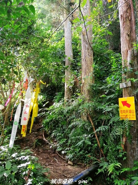 【苗栗。南庄】到山裡森呼吸。 小百岳集起來。編號32小百岳-向天湖山_1466270