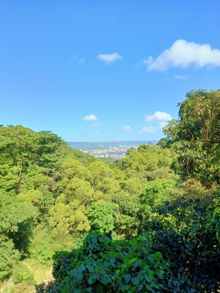 天上山到新店_1485887