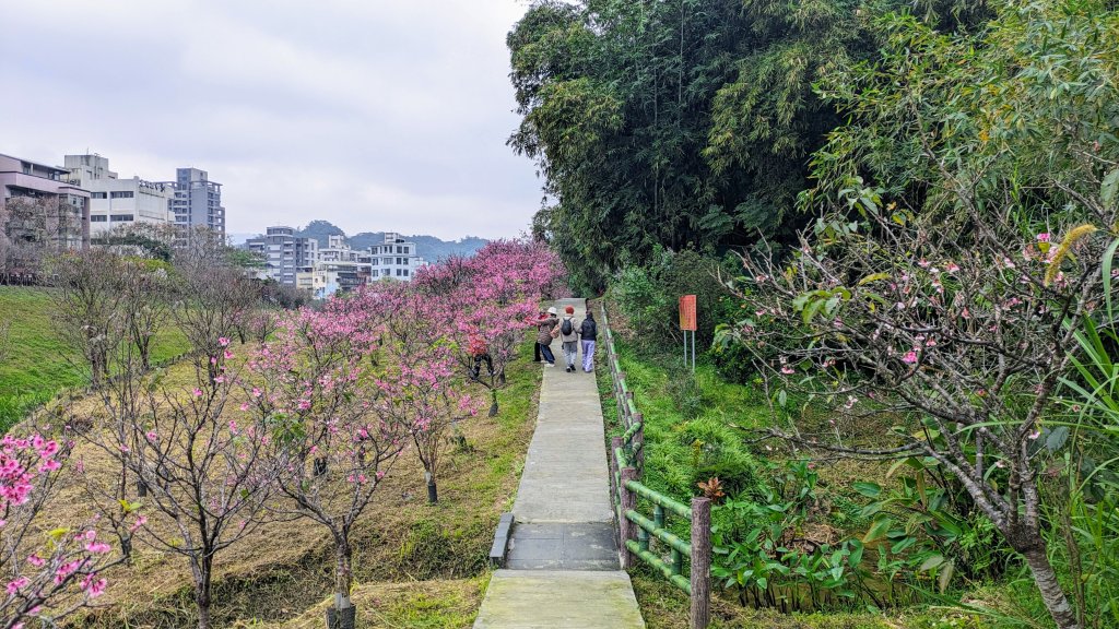 樂活公園,五分埤步道封面圖