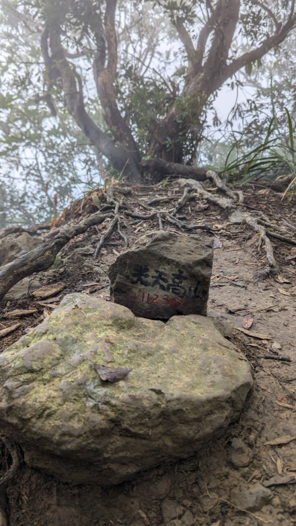 向天湖山步道 (大 O：含三角湖山、光天高山)_2664969