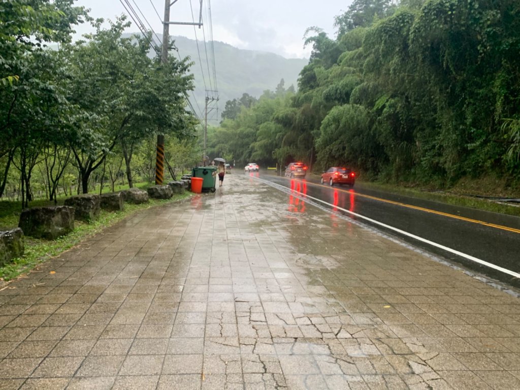 阿里山迷糊步道_1029008