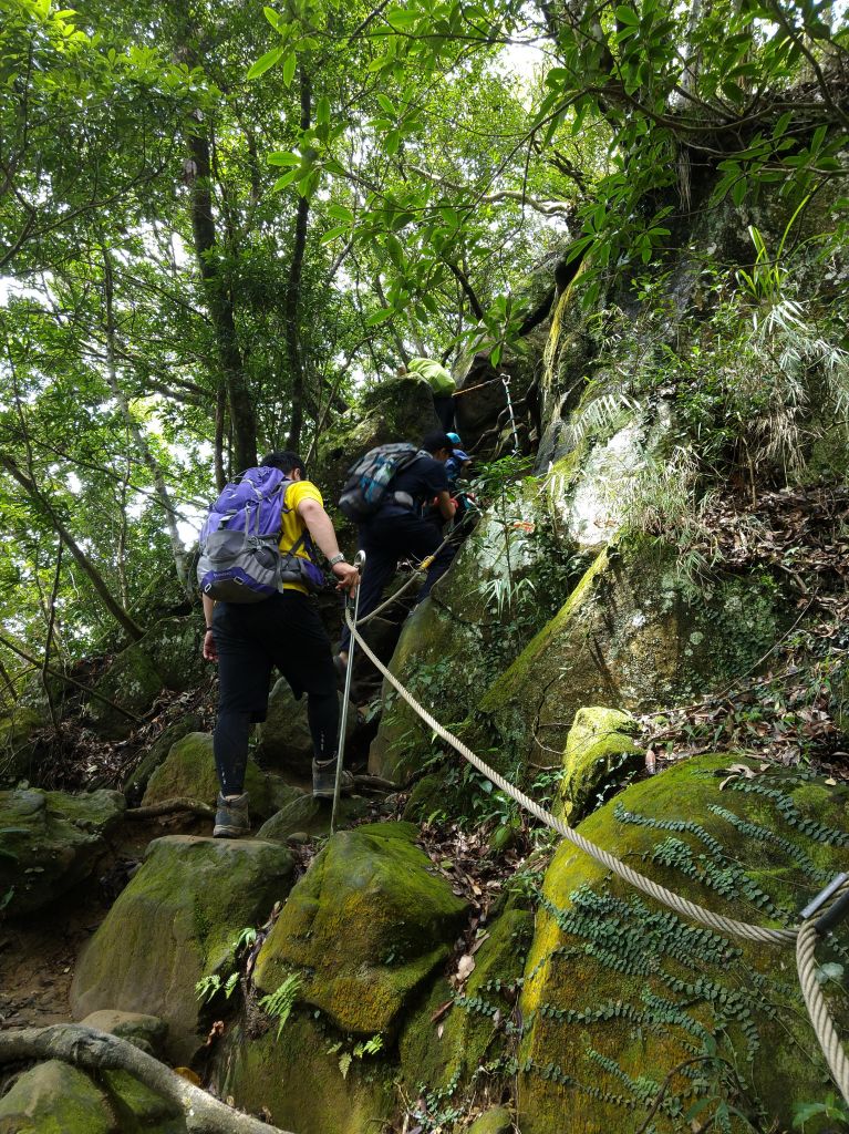 五寮尖 O 型之旅_396754