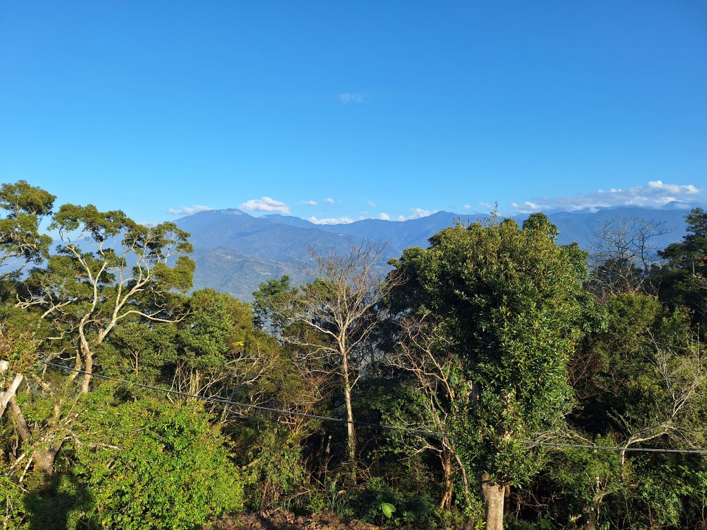 八角崠山+協雲宮櫻花步道20250215_2712858