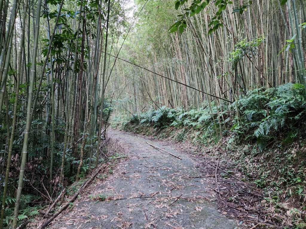 20240804鬼澤山、梅山、梅后蔓瀑布_2613403