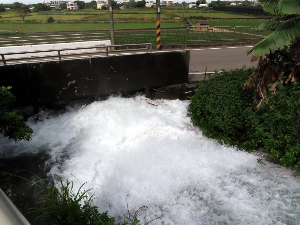 水流東桐花步道_1900275