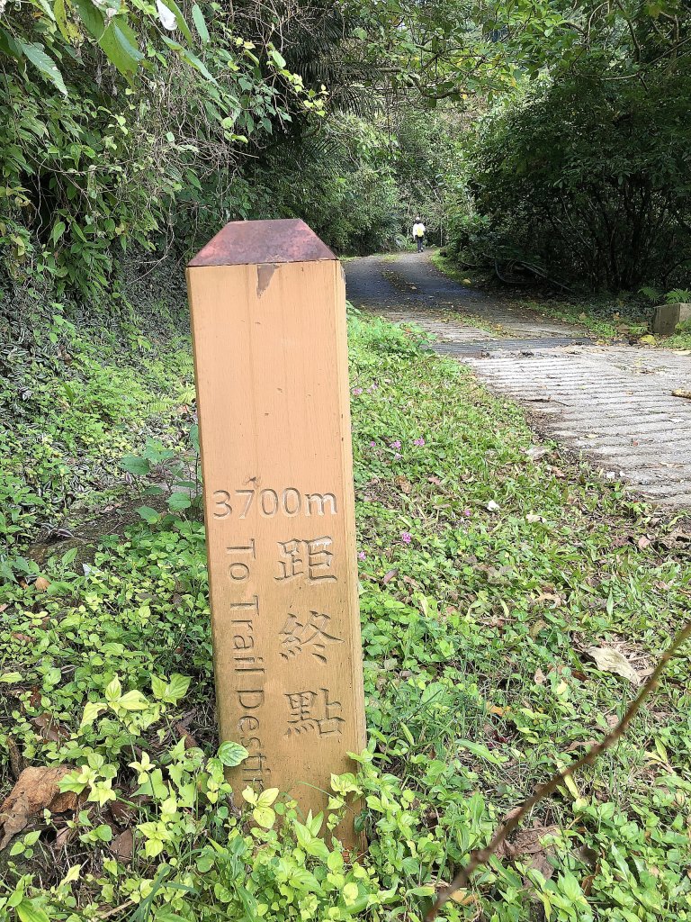 ~  佐倉步道  ~_2050412