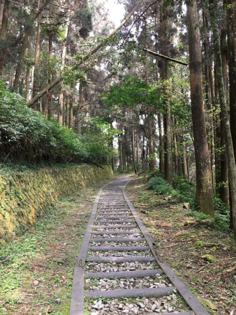 奮起湖步道神社遺址_558882