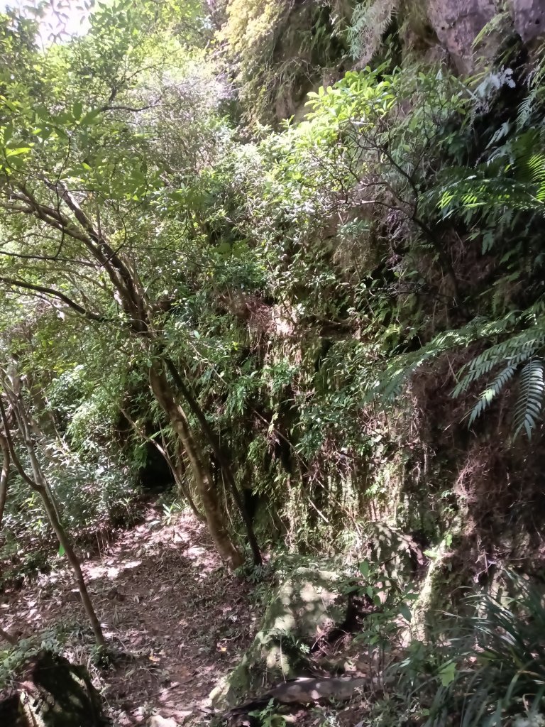 瑞芳區黃金8.5稜+南雅山O型_2866528