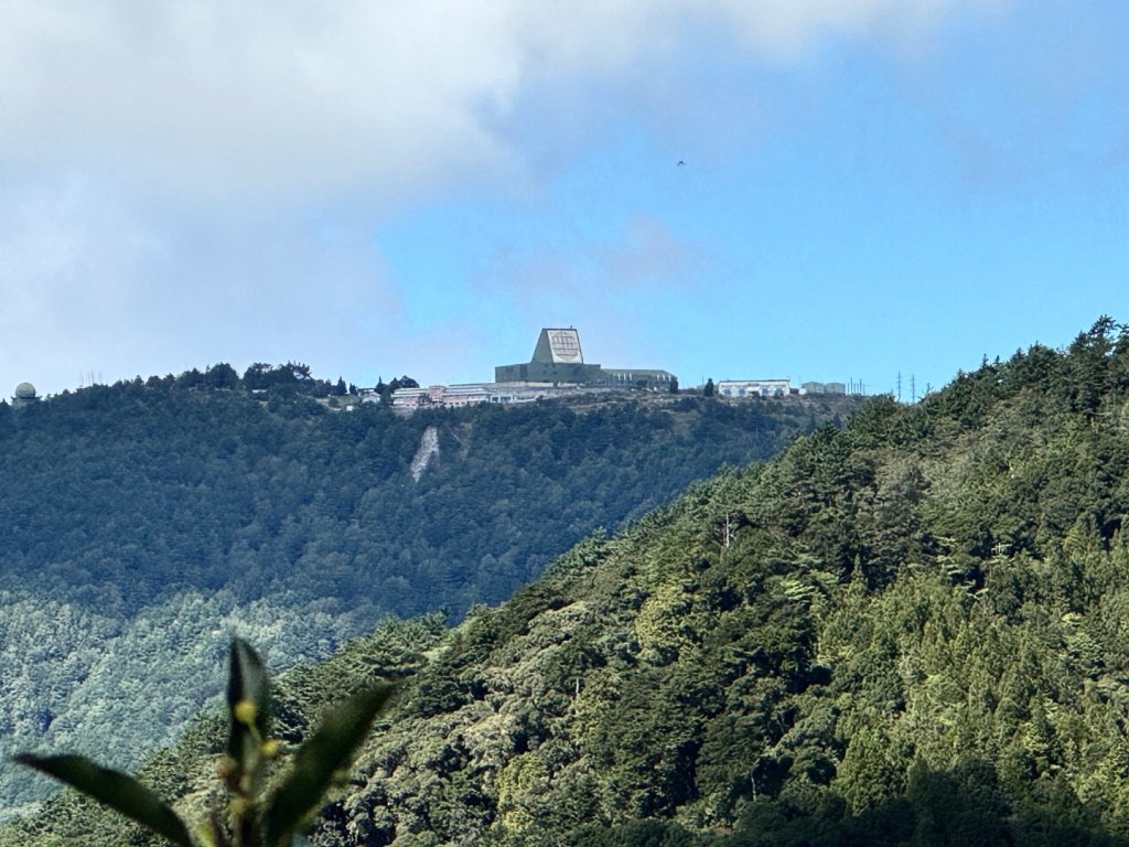 觀霧-榛山步道_2926007