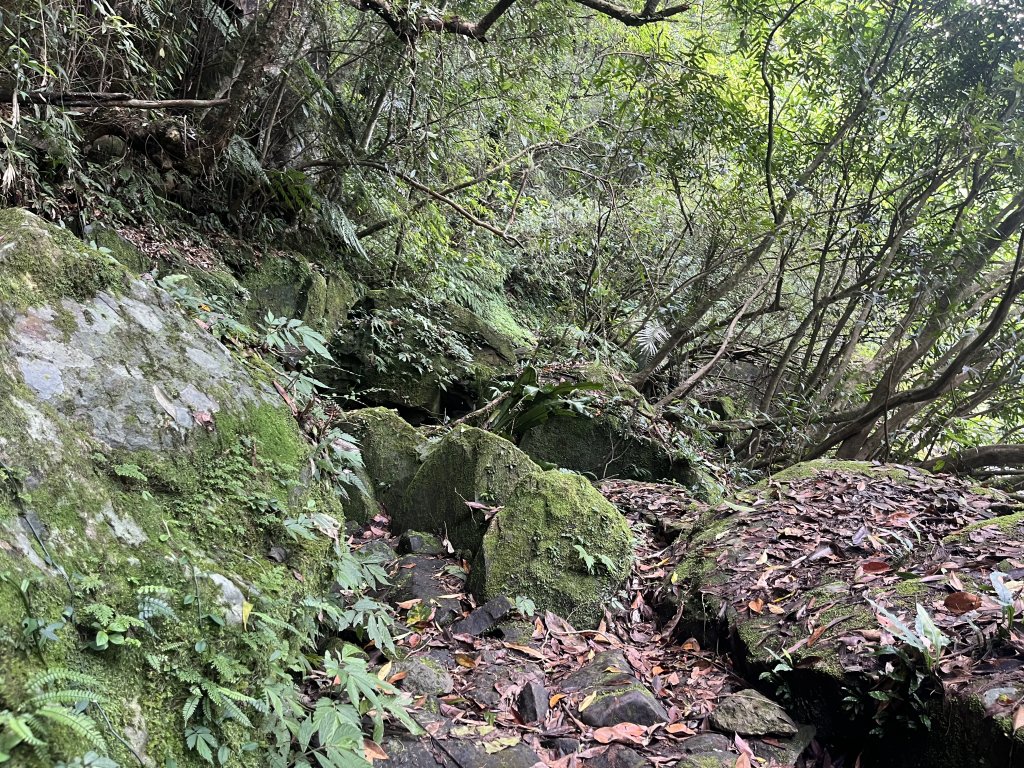 [淡蘭古道] 2024_0622 中路第四段-北勢溪古道_2533889