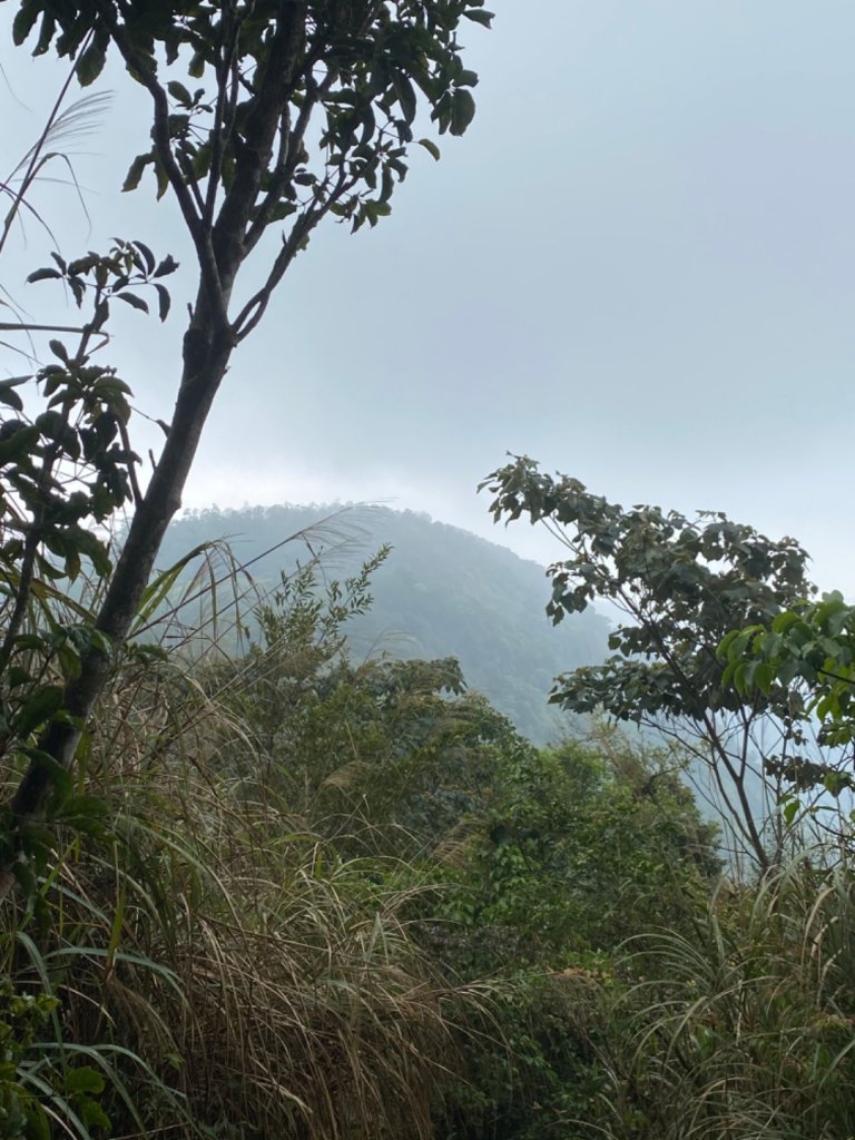 雞籠山.大凍山_937410