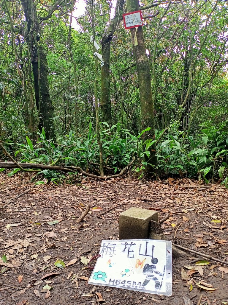 【臺北大縱走 4】2-1 風櫃嘴→雙溪溝古道→五指山古道→大崙頭山北面步道→碧山路_2113241