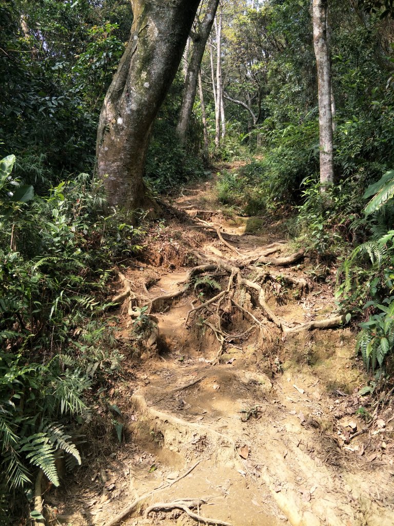 小百岳：石門山_1307982