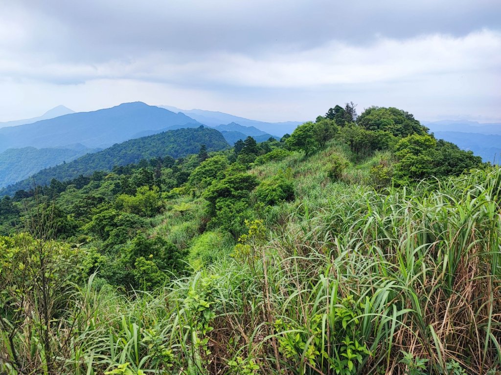 姜子寮山-小百岳#11-基隆市七堵區封面圖