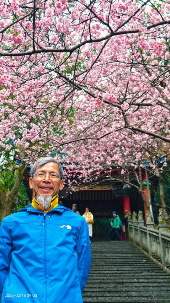 內湖碧山巖 2/18_2714786