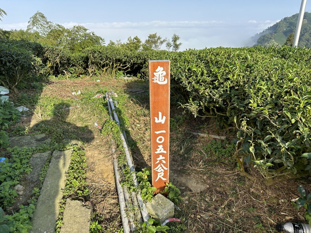 雲嘉十八連峰_1932582