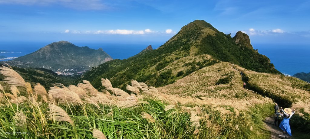 #半屏山 #芒花 11/26_2946027