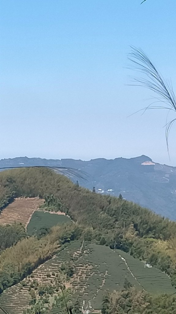 瑞太古道/奮瑞古道/雲仔山/糕仔崁古道/奮起湖 縱走_1639056