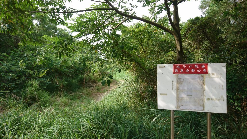 鳳崎落日步道_356498