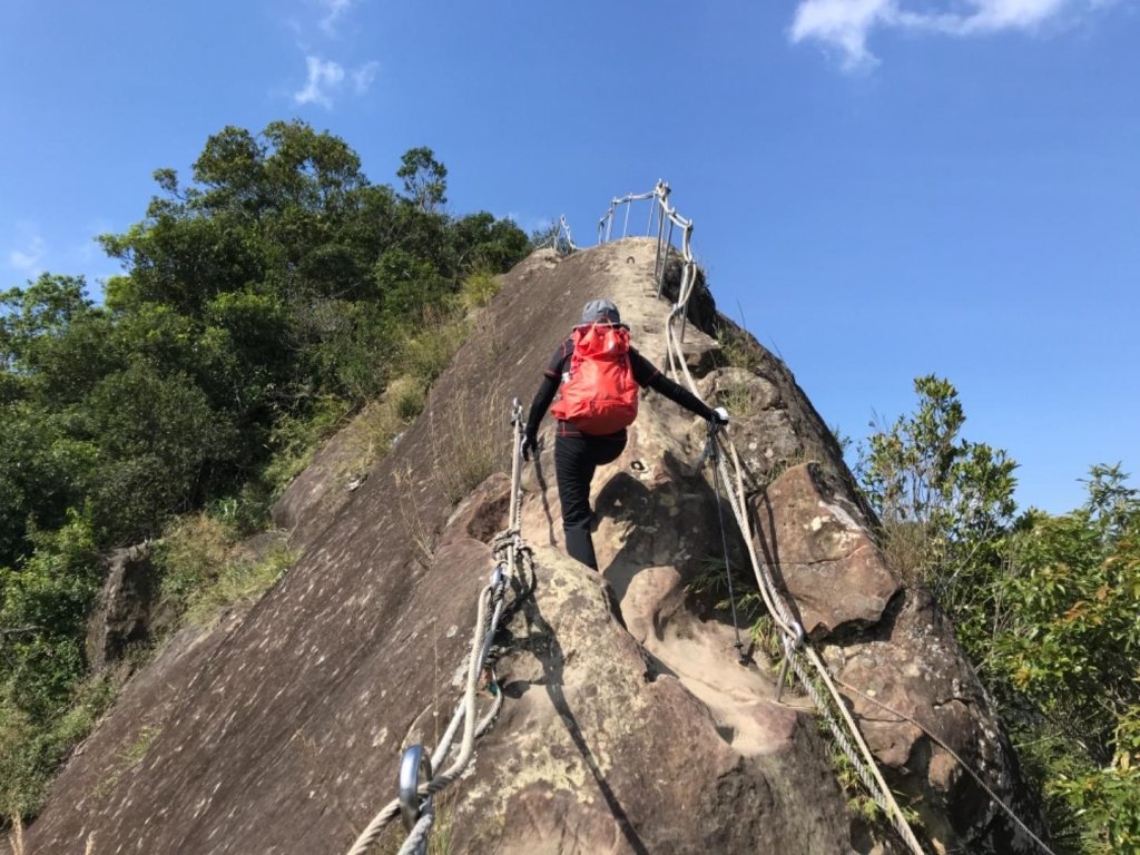 五寮尖上大風狂_448940