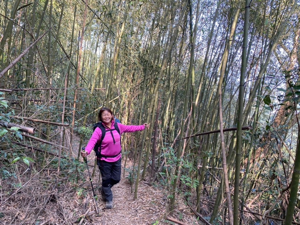 苗栗金童山、玉女山、汶水山_2672894