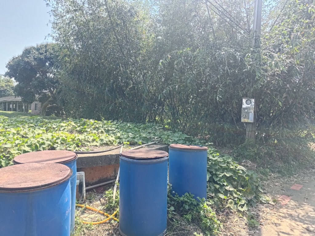 藤山步道登樟普寮一等三角點+挑水古道_2749483
