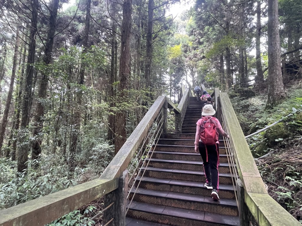 溪頭沿溪步道+天文台20220910_1889766
