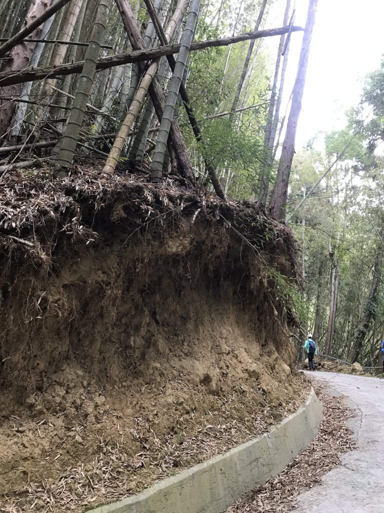 110年4月25日雲林  雲嶺之丘 五元二角 木馬古道_1456512