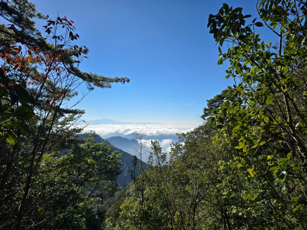 鳶嘴稍來山之楓紅／雲海_2974017