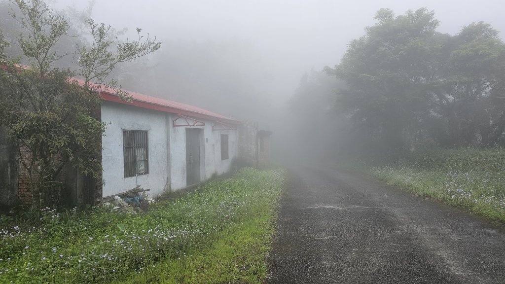 240329-第40座小百岳#094太麻里山O繞。美美兔不放過任何一個可以爬山的時間。_2469427