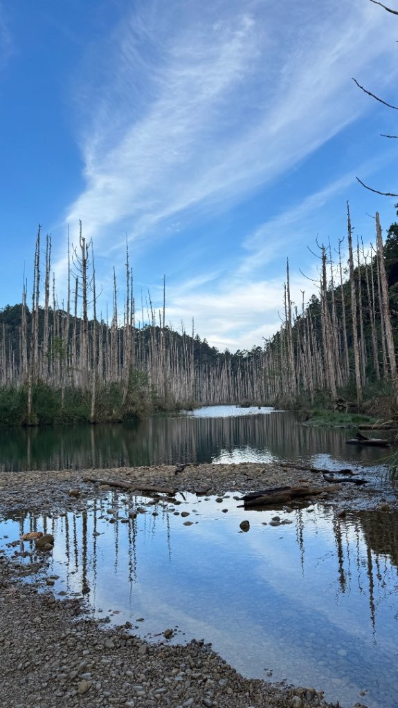 水漾森林+瞑月神木_2768839
